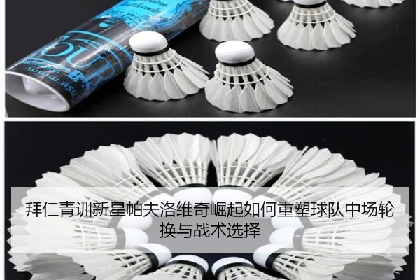 拜仁青训新星帕夫洛维奇崛起如何重塑球队中场轮换与战术选择